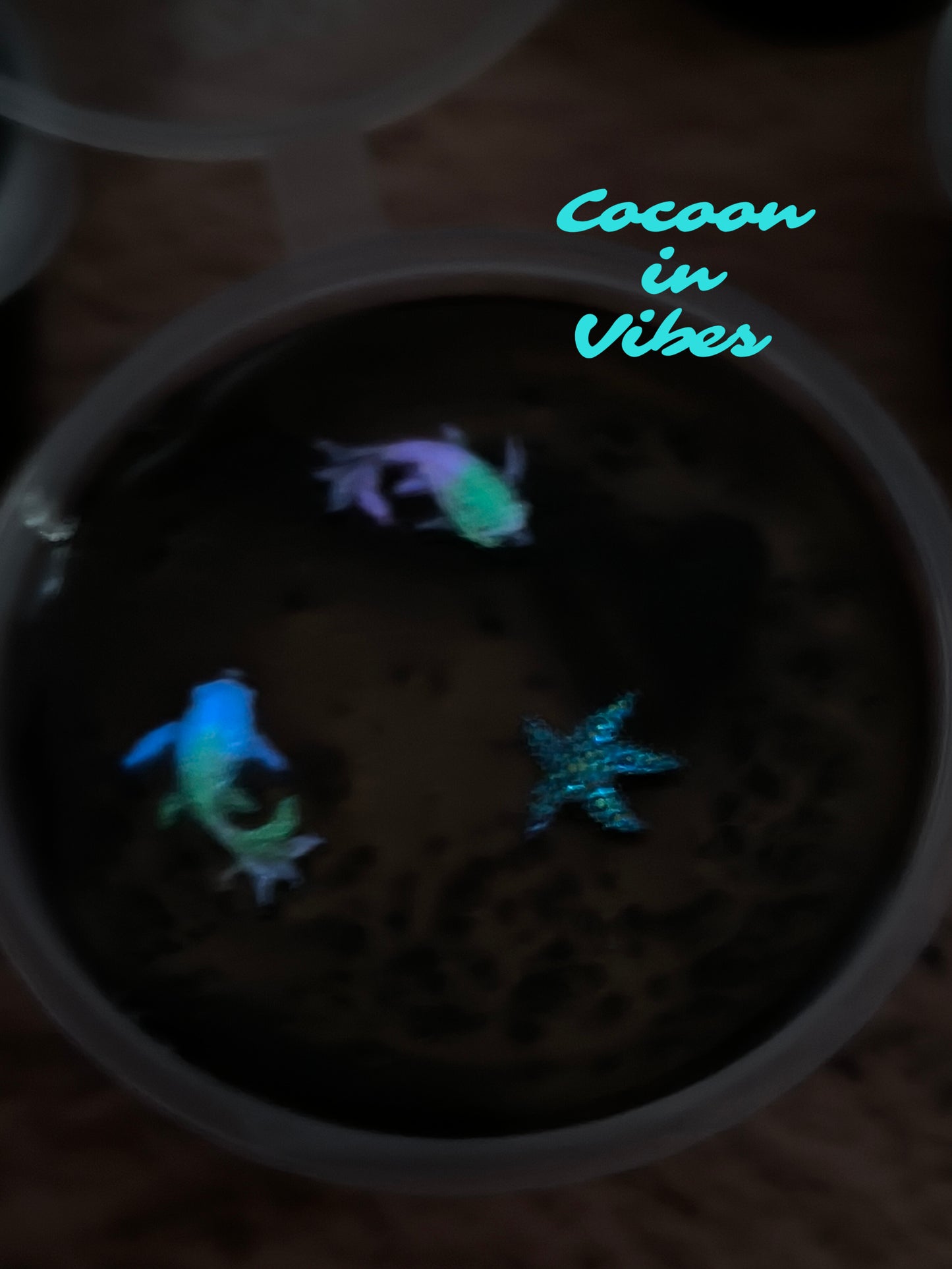Vague Fondante Jelly – Fondant Artisanal Parfumé Atypique