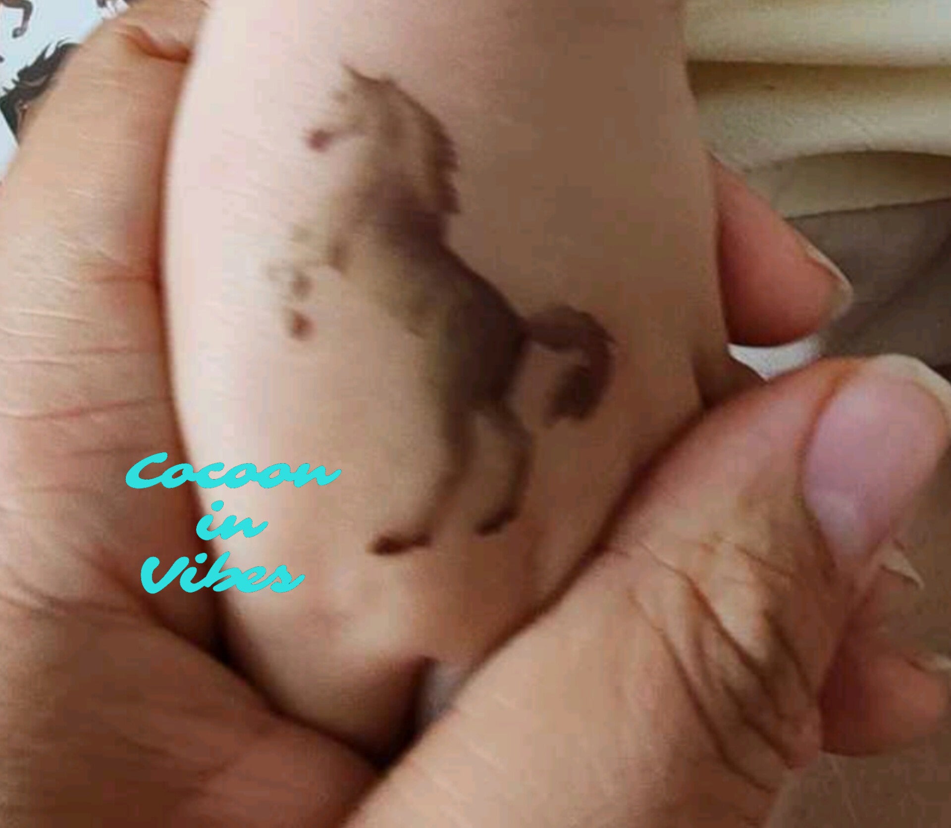 Tatouages Éphémères Chevaux – La Liberté au Bout de la Peau