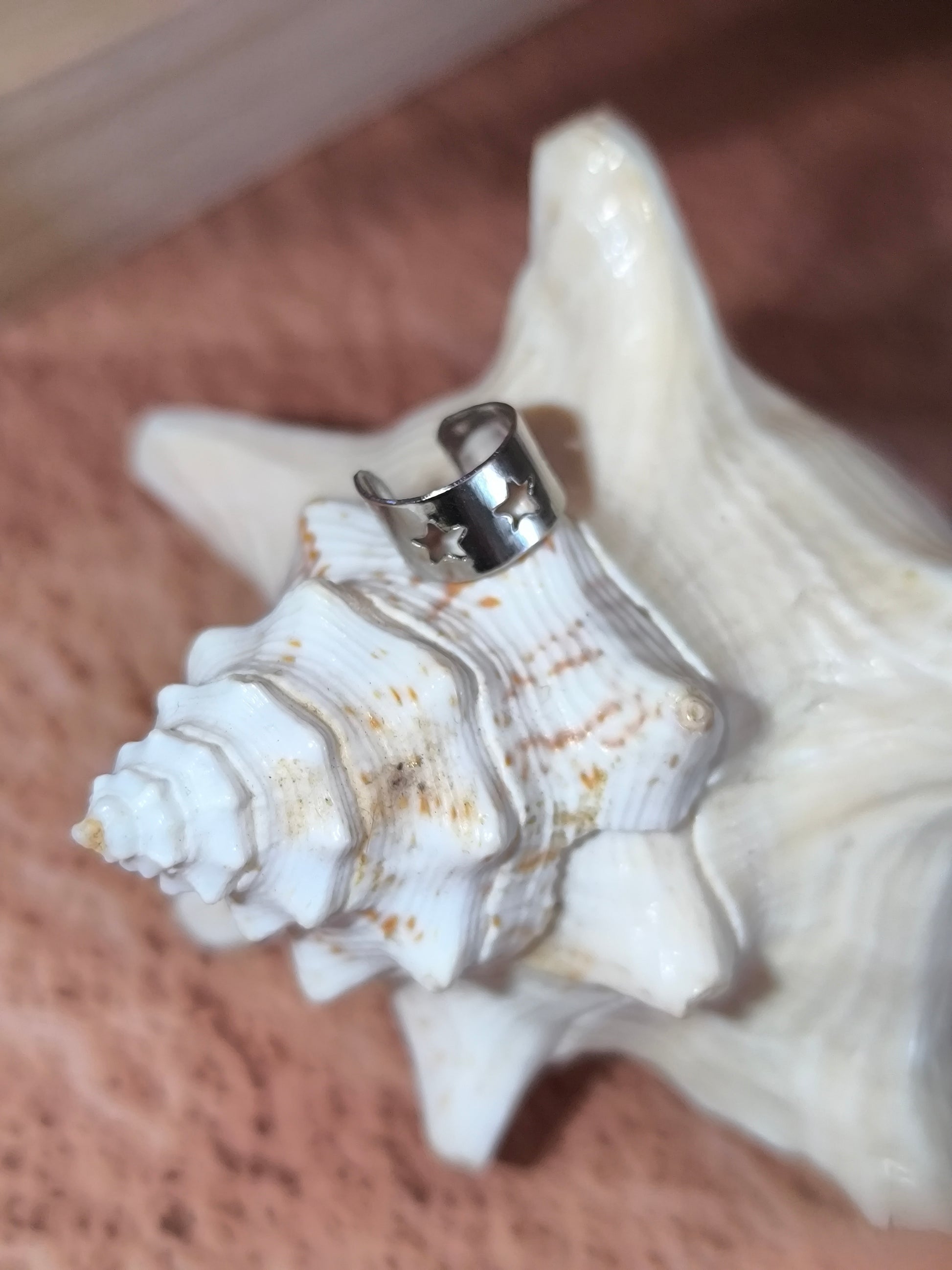 Bagues d'oreilles finement ajourée et argentée - 10 modèles au choix