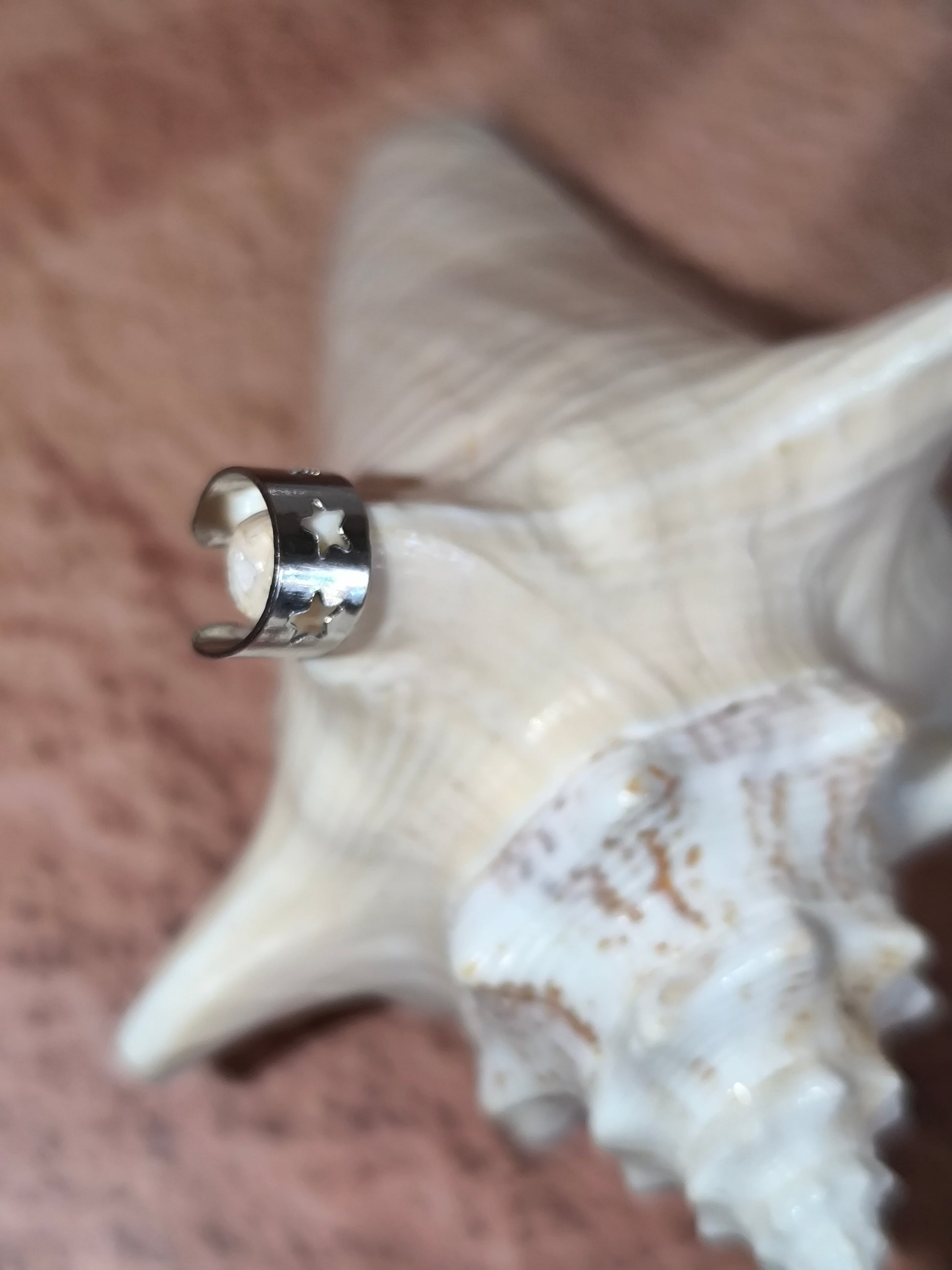Bagues d'oreilles finement ajourée et argentée - 10 modèles au choix