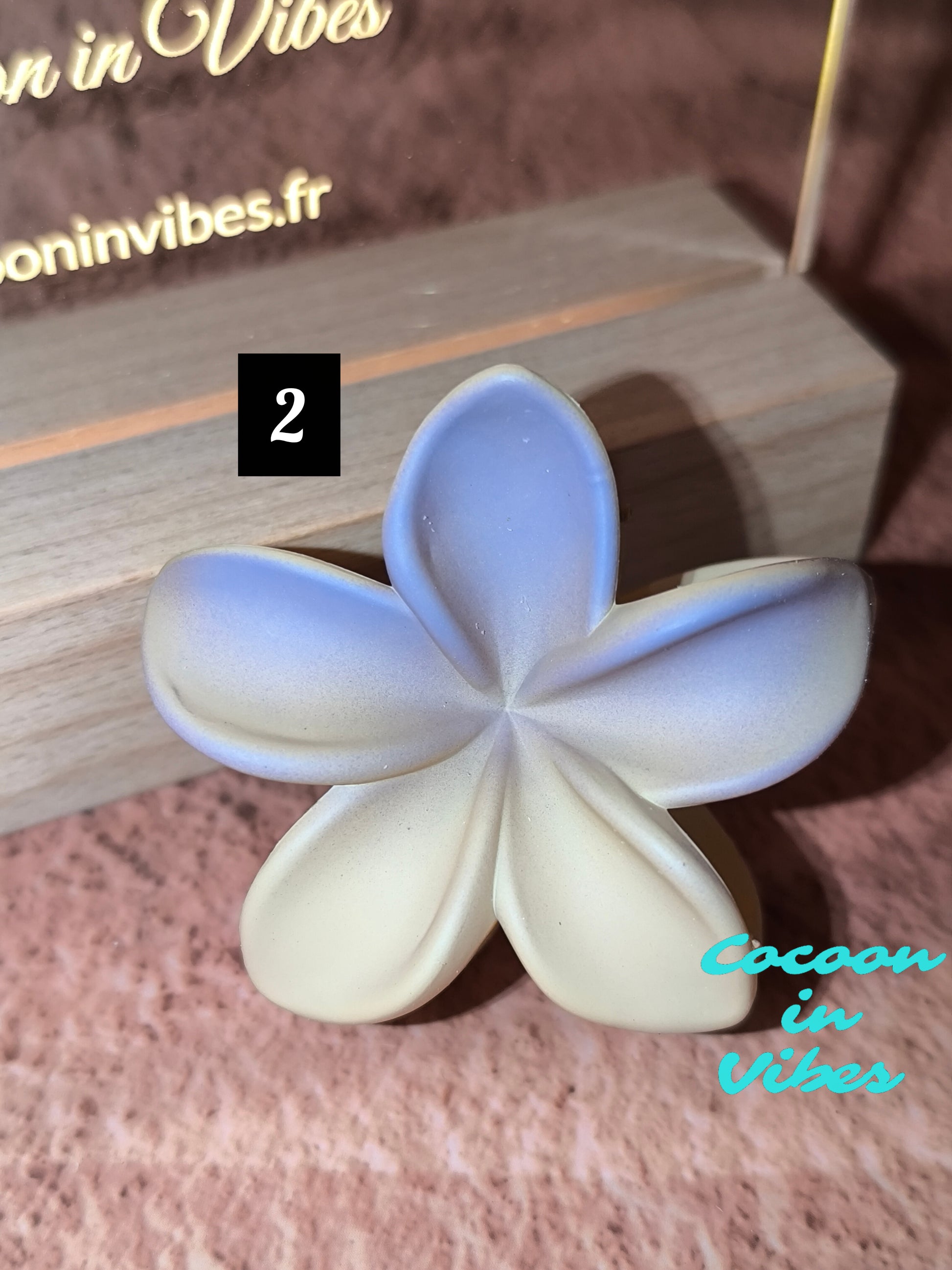 Pinces fleurs de Monoï dégradées 6 cm – Évasion sous les Tropiques… dans vos cheveux !