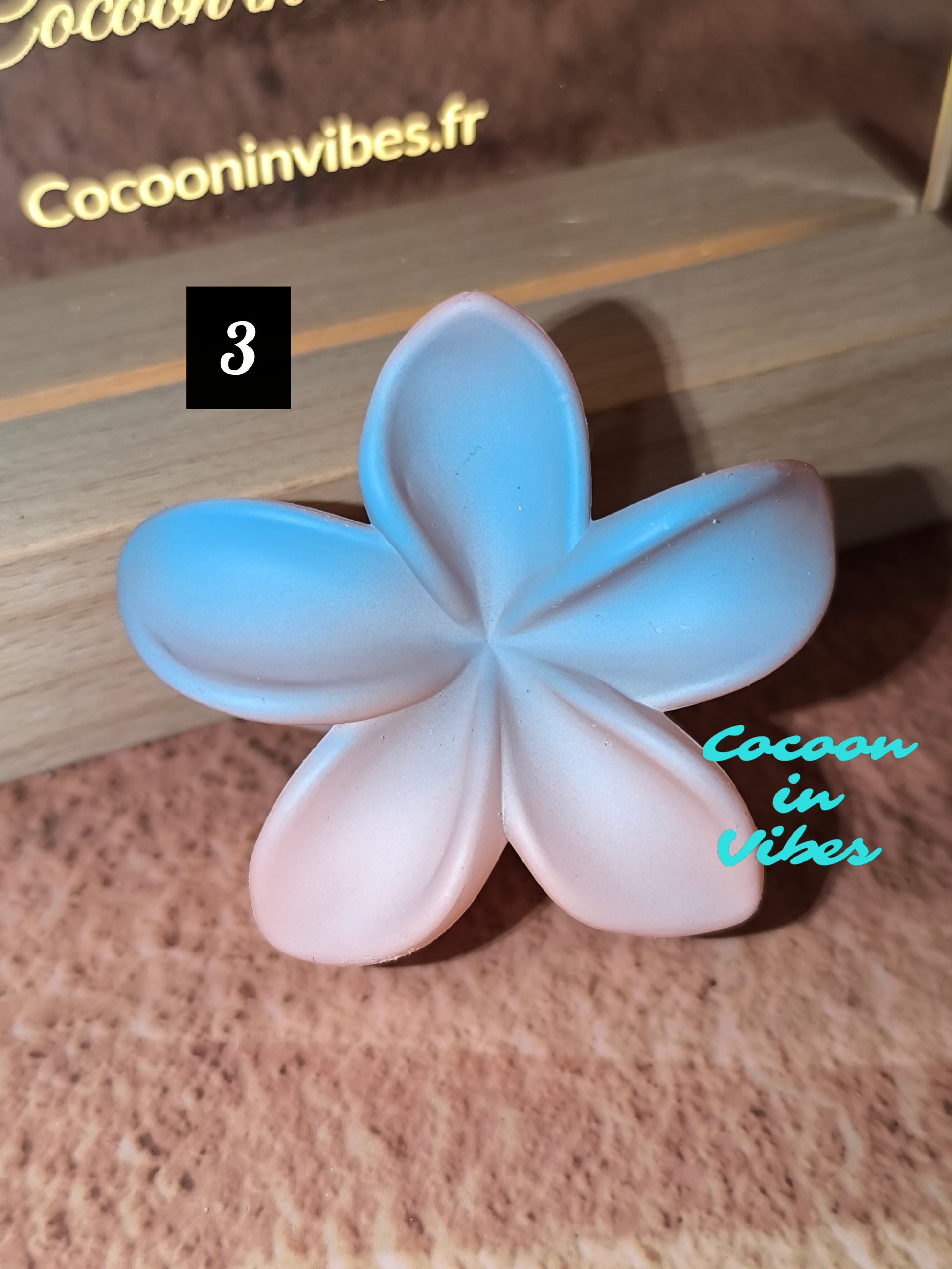 Pinces fleurs de Monoï dégradées 6 cm – Évasion sous les Tropiques… dans vos cheveux !