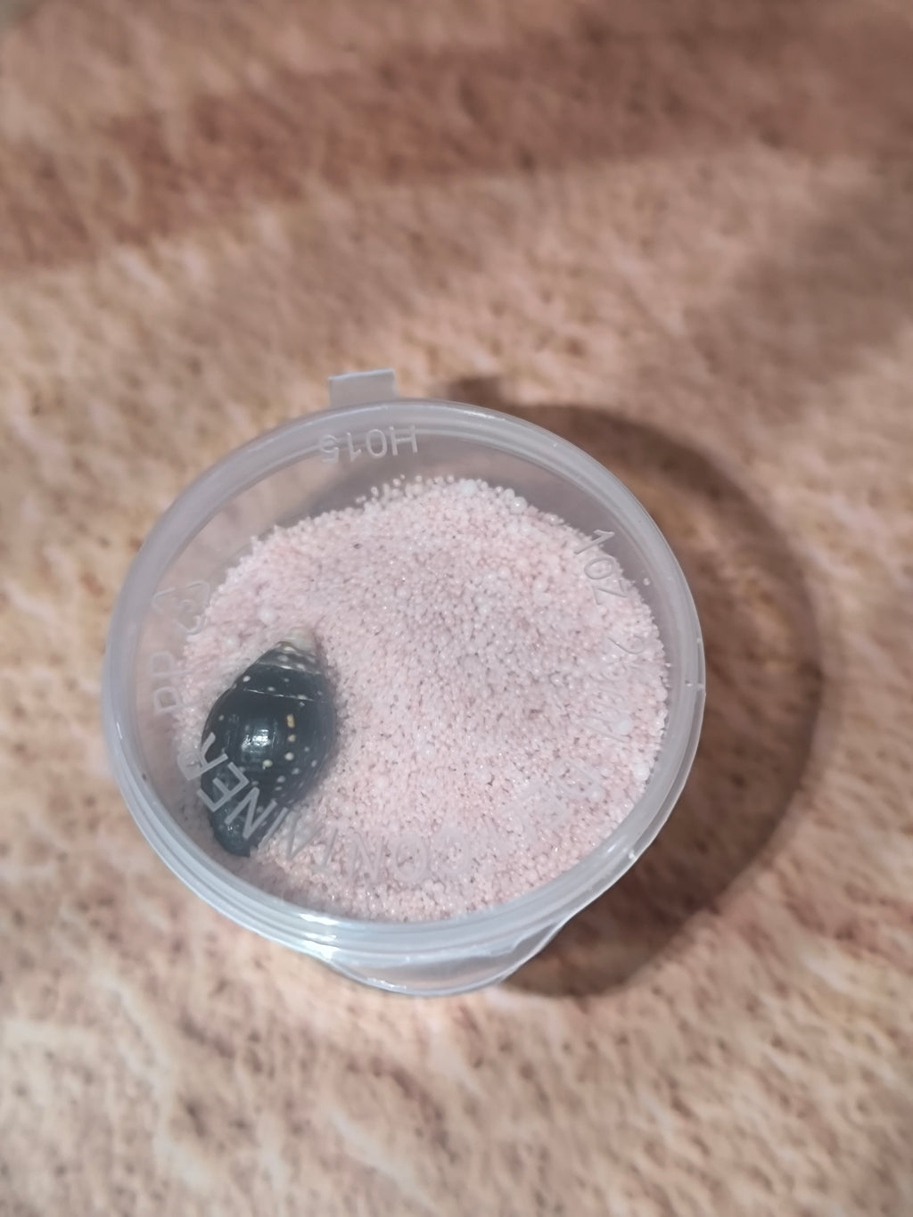 Sable Fondant