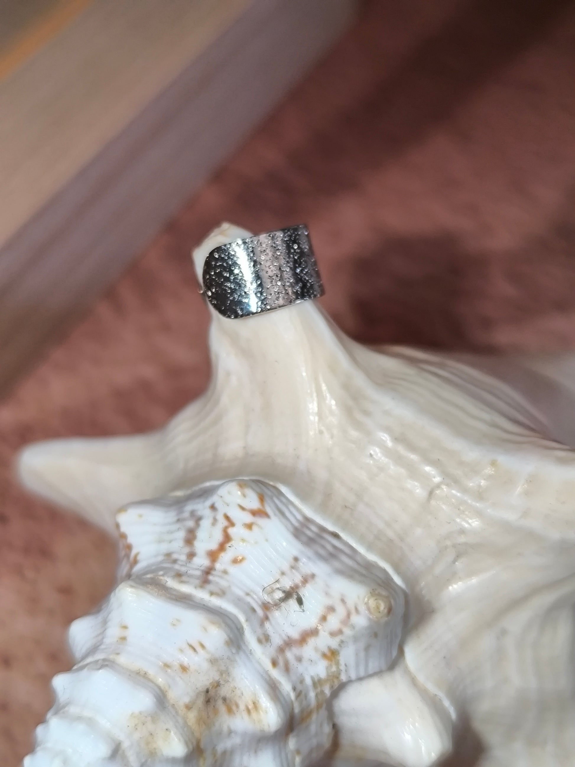 Bagues d'oreilles finement ajourée et argentée - 10 modèles au choix