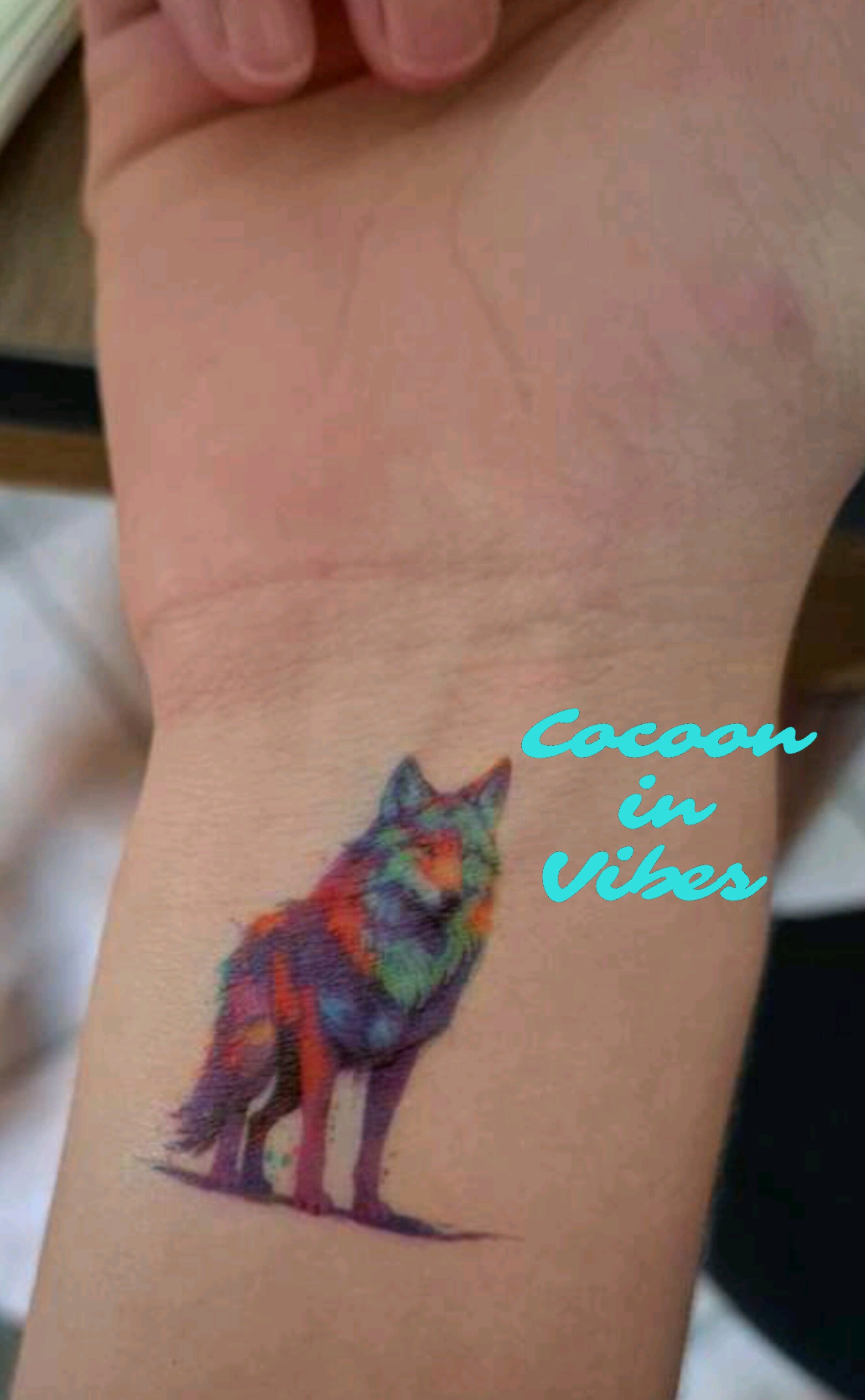 Tatouages éphémères Animaux Arc-en-Ciel - Feuille de 6