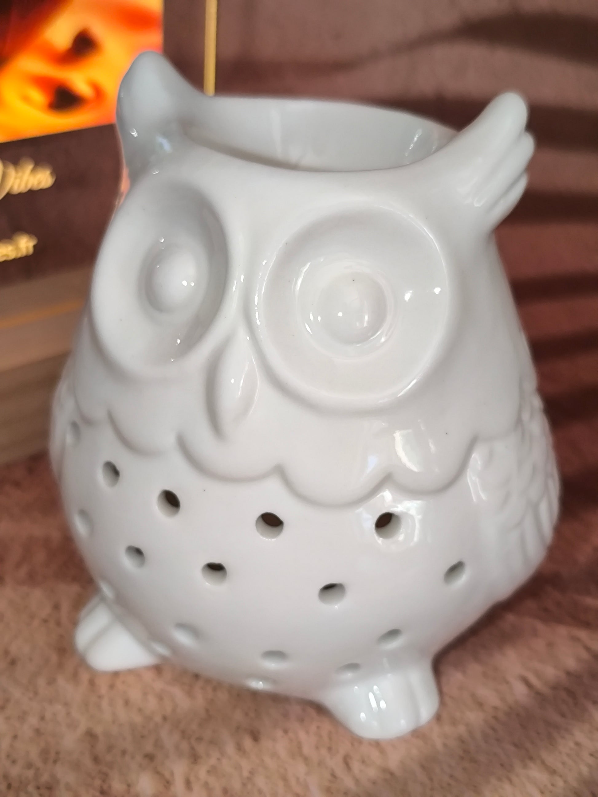 Brûleur en Céramique Blanche – Modèle Hibou